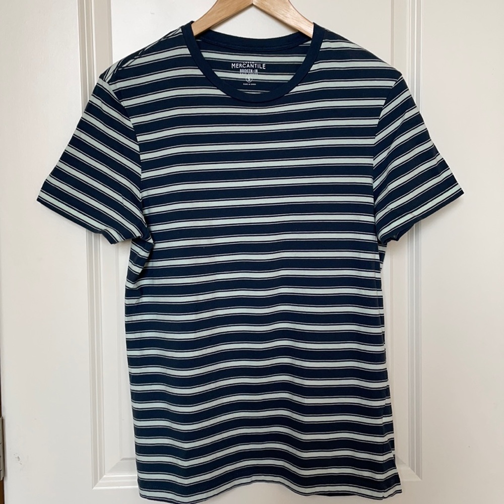 J Crew Blue and Mint Striped Tee